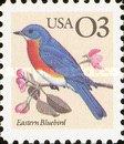 [Birds, type BUN]