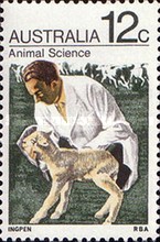 [Animals, type LN]