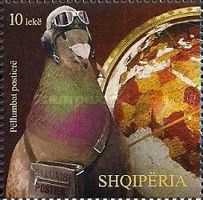 [Birds - Carrier Pigeons, type DAA]