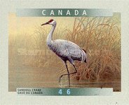 [Birds - Self-Adhesive, type BKT1]