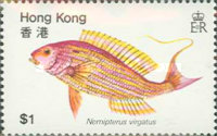 [Fish, type GO]