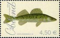 [Fish - Perch & Zander, type JX]