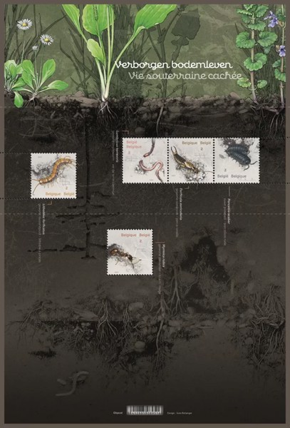 [Hidden Soil Life, type ]