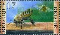 [Insects - Bees, type CAV]