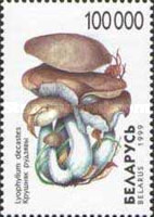 [Mushrooms, type KR]
