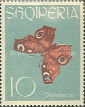 [Butterflies, type NA]