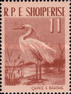 [Birds, type IP]