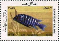 [Marine Life - Fish, type AEX]