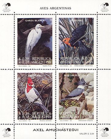 [Paintings of Birds by Axel Amuchastegui, type ]