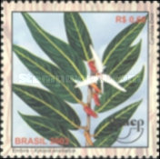 [America UPAEP - Medicinal plants of the Cerrado, type DUM]