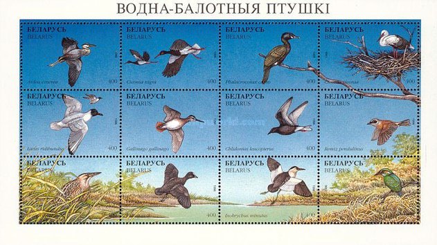 [Birds, type ]