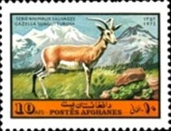 [Fauna - Mammals, type SC]