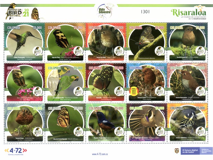 [Risaralda Bird Festival, type ]