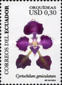 [Orchids, type DFV]