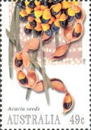 [Bush Tucker, type CBQ]