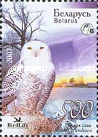 [Owls of Belarus, type WW]