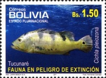[Endangered Species - Fish, type BOP]