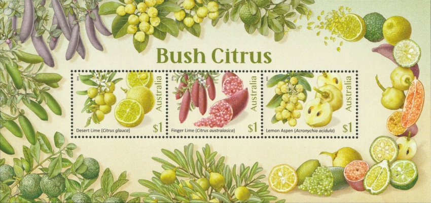[Bush Citrus, type ]