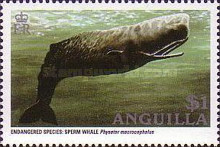 [Endangered Animals - Whales, type AKS]