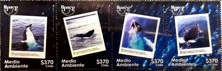 [UPAEP Issue - The Environment, type ]