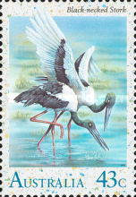[Water Birds, type APC]