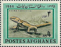 [Fauna - Reptiles, type MS]