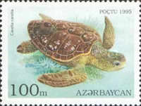 [Tortoises and Turtles, type FB]