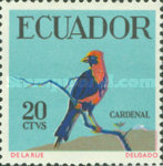 [Tropical Birds, type AHY]