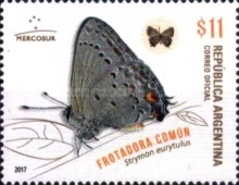 [MERCOSUR Issue - Butterflies, type DZF]