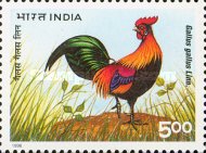 [The 20th World Poultry Congress, New Delhi, type AYJ]