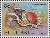 [Sea Shells and Corals, type CL]