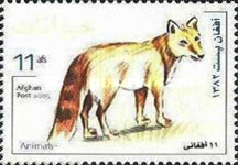 [Fauna - Native Mammals, type AXO]