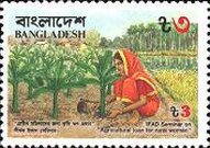 [I.F.A.D. Seminar on Agricultural Loans for Rural Women, type HN]
