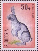 [Rabbits & Hares, type ABO]