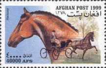 [Horses, type ATU]