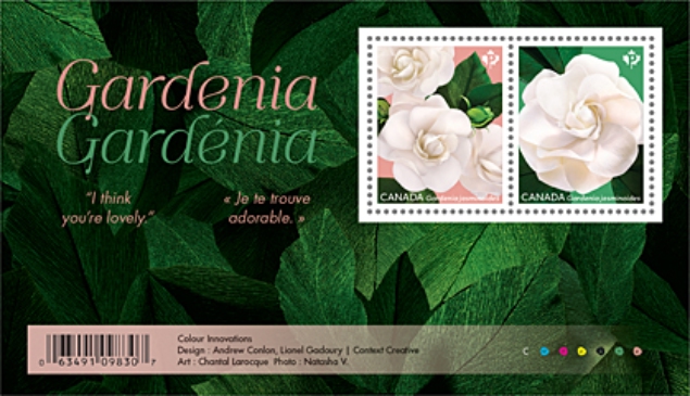 [Valentine's Day - Gardenia, type ]