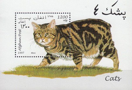[Cats, type ]