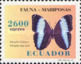 [Butterflies, type CIZ]