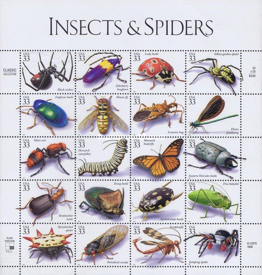 [Insects and Spiders, type ]