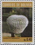 [Cacti, type RE]