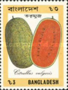 [Fruit, type JS]