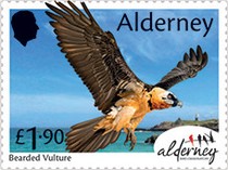[Bird Obersvatories Across the British Isles, type AFM]