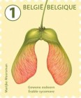 [Definitives - Tree Fruits and Nuts, type FHF]