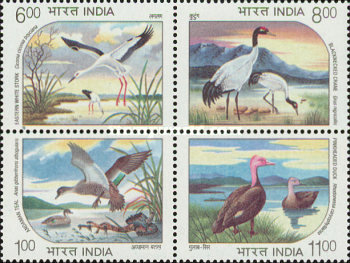 [Endangered Water Birds, type AVQ]