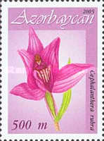 [Orchids, type TP]