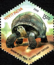 [Aldabra Giant Tortoise, type CPA]