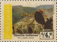 [Airmail - Flowers, type BJI]
