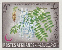 [Afghan Red Crescent Society, type JF2]