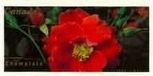 [Canadian Roses - Self-Adhesive, type BUK1]