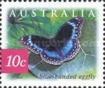 [Nature of Australia - Butterflies of the Daintree Rainforest, type CFK]